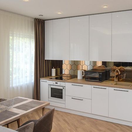 Roof Terrace Apartment Panevėžys エクステリア 写真